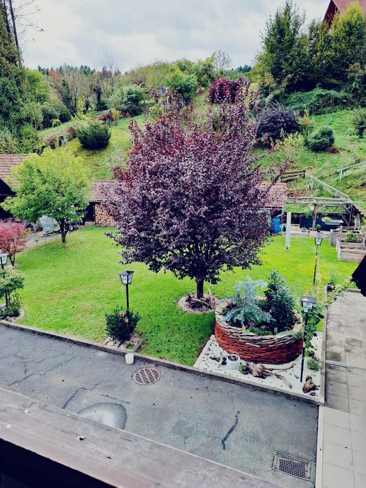 Ferienwohnung Heiabett Wies Esterno foto