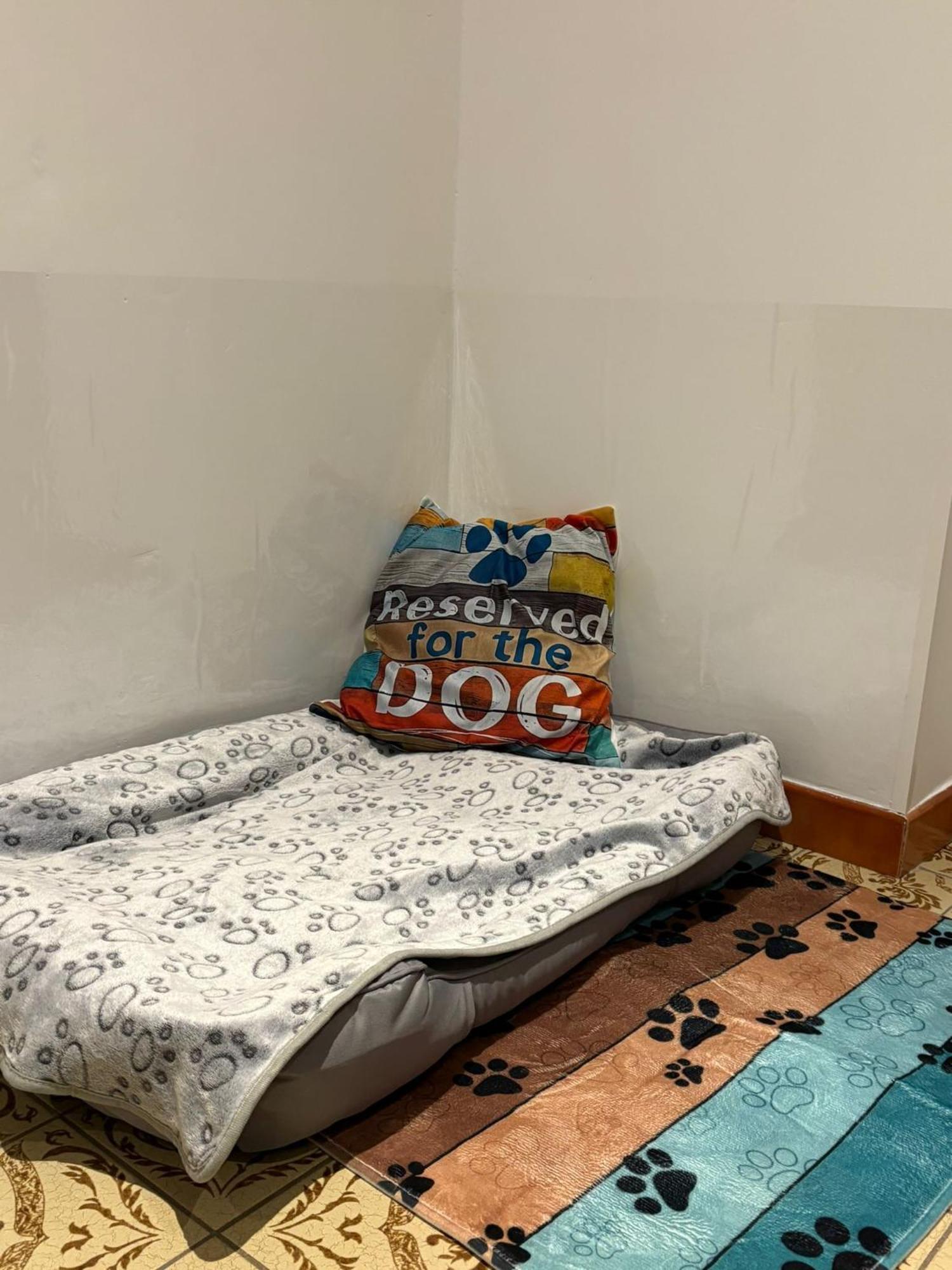 Ferienwohnung Heiabett Wies Esterno foto